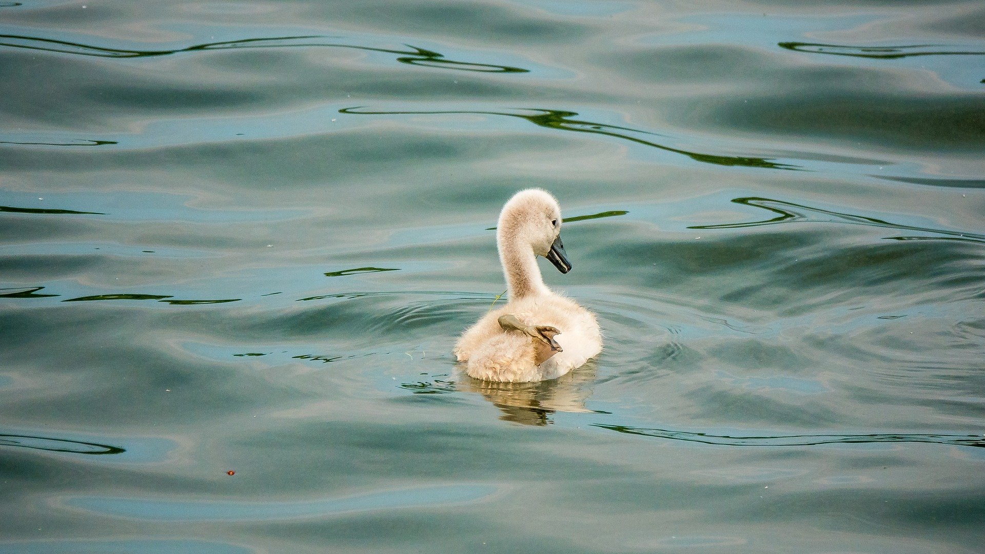 Suscipit amet nemo blanditiis doloremque voluptate ut qui.